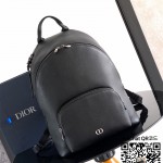 디올 CD 아이콘 가죽 백팩