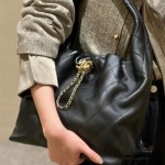 샤넬 신상 크루즈 호보백 미디움