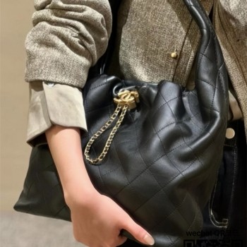 샤넬 신상 호보백 미디움