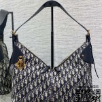 디올 Voyage 보야주 백 라지