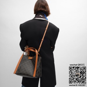 셀린느 스몰 큐보 백 트리옹프 캔버스 카프스킨 124182