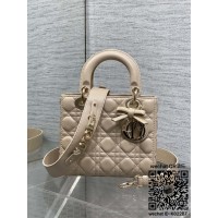 디올 DIOR 레이디백 20CM