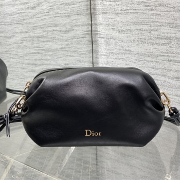 디올 보우 파우치백