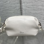 디올 보우 파우치백