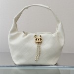 샤넬 신상 크루즈 호보백 스몰 AS5976