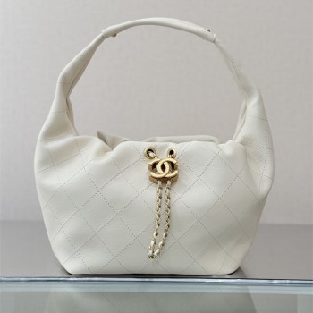 샤넬 신상 크루즈 호보백 스몰 AS5976