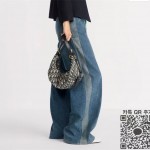 디올 디저니 미디엄 호보백