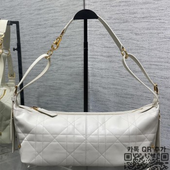 디올 디저니 미디엄 호보백