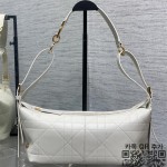 디올 디저니 스몰 호보백