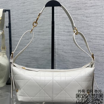 디올 디저니 스몰 호보백