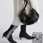 디올 디저니 미디엄 호보백