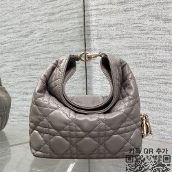 디올 뚜주흐 호보백 스몰