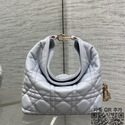 디올 뚜주흐 호보백 스몰