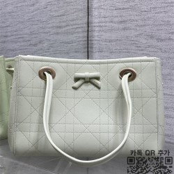 디올 프롬나드 쇼퍼백 스몰