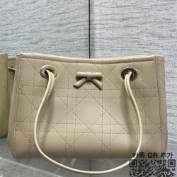 디올 프롬나드 쇼퍼백 스몰